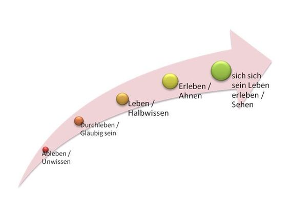entwicklungsstufen